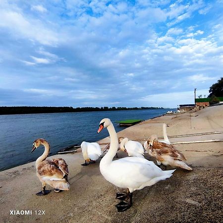 Vila Maza Смедерево Экстерьер фото